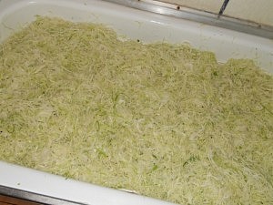 kapusta s koreniacou zmesou