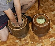 tlačenie kapusty
