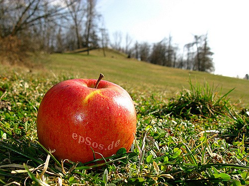 flickr/epSos.de