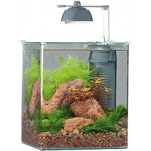 akvarium1