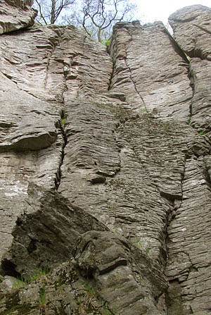 Kalamarka2