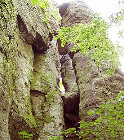 Kalamarka3
