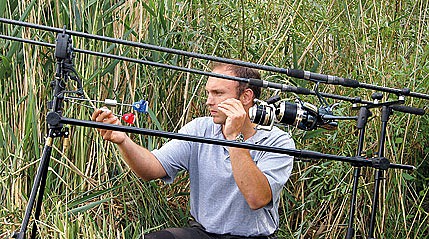 carpclassic.jpg