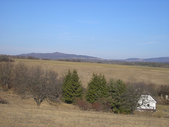 chochulka.jpg