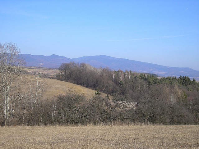 polana.jpg