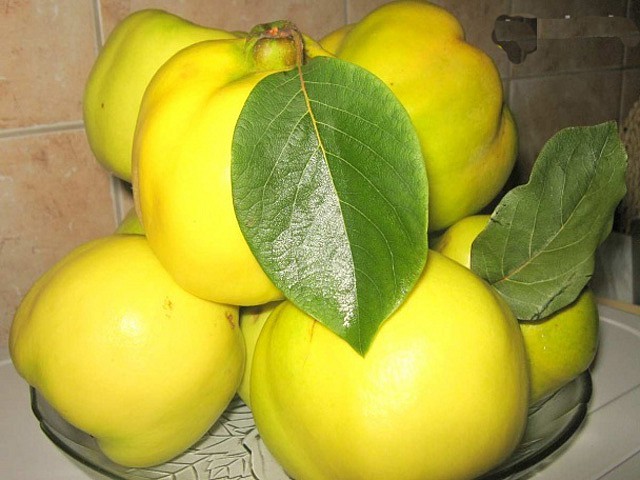 velky-recept-varecha.sk.jpg
