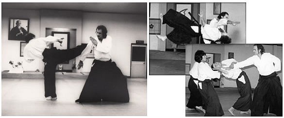 Seagalova škola aikido zaznamenala v USA obrovský úspech