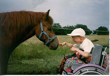 equine-therapy-wheelchair.jpg