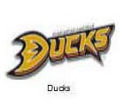 1ducks.jpg