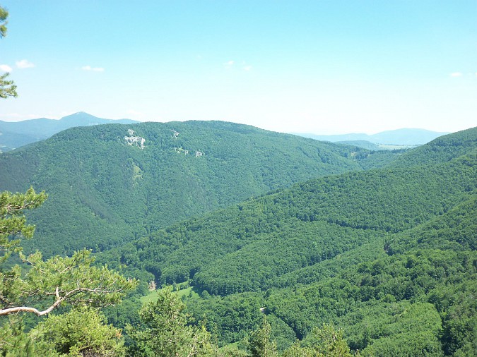 100-2167.jpg