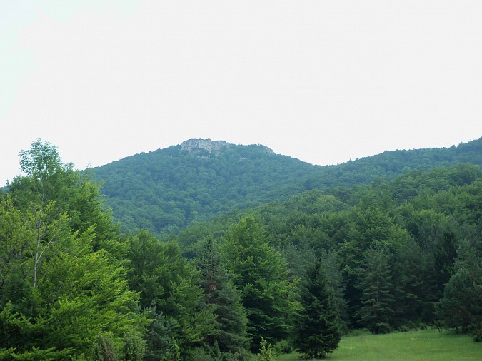 100-2289.jpg