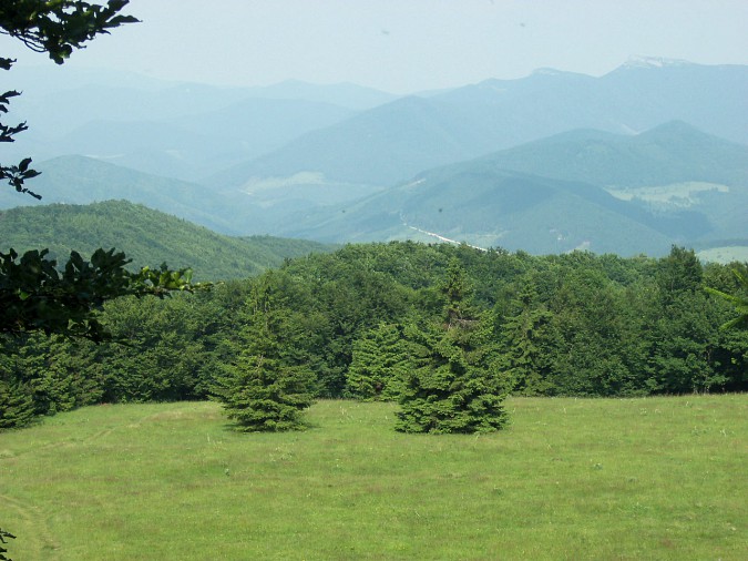 100-2364.jpg