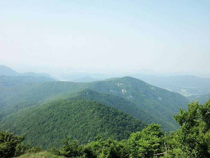 100-2367.jpg